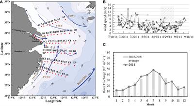 Subsurface oxygen minima regulated by remineralization and bottom flushing along 123°E in the inner East China Sea